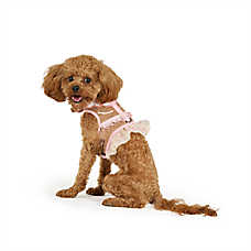 Thrills & Chills&trade; Halloween Cowgirl Dog Costume Harness