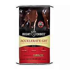 Right Choice® Accelerate GH® Horse Feed