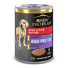 Purina Pro Plan Sport High Protein Puppy Wet Dog Food - Beef & Rice, 13 oz