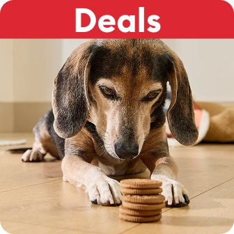 Deals callout and a dog lying on the floor looking at treats