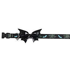 Thrills & Chills&trade; Halloween Bat Dog Collar