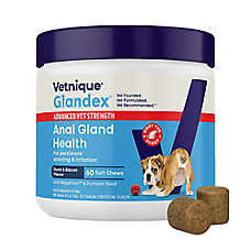 Vetnique Glandex Dog Advanced Anal Gland Soft Chews, Probiotics & Fiber, Duck & Bacon, 60 Ct