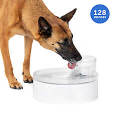 PetSafe? Outlast Pumpless Water Fountain 128 oz - Dishwasher Safe - Water Filter Included