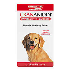 Nutramax Dog Crananidin Cranberry Extract Chewable Tablets Urinary Supplement, 75 Chewable Tablets
