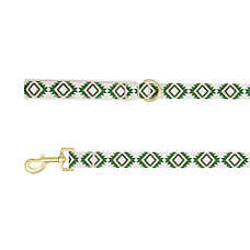 Top Paw? Aztec Dog Leash, White & Green Dog Leash, Walking Dog Leash, Neoprene Handle, 4' Long