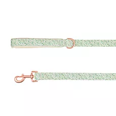 Top Paw庐 Green Leaves Dog Leash, Green & White Dog Leash, Walking Dog Leash, 4' Long