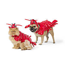 Thrills & Chills&reg; Lobster Dog & Cat Costume