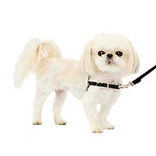 PetSafe? Easy Walk? Nylon Dog Harness