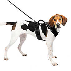 PetSafe? EasySport Nylon Reflective Dog Harness