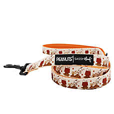 Sassy Woof Peanuts&trade; Harvest Fall Dog Leash, 5 FT