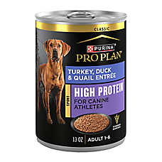Purina Pro Plan Sport High Protein Adult Wet Dog Food - Turkey, Duck & Quail, 13 oz