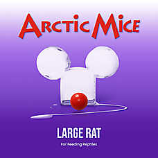 Arctic Mice Frozen Large Rats - Snake Food - 1 ct