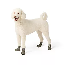 Arcadia Trail庐 Water Boots