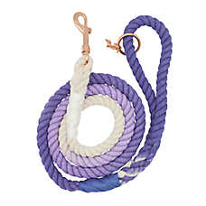 Sassy Woof Ombre Purple Dog Rope Leash: 5-ft long