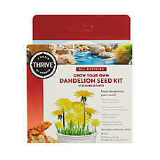 Thrive Grow Your Own Dandelion Seed Kit - Reptile Food Seed Kit