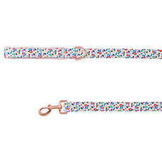 Top Paw? Flower Dog Leash, White Dog Leash, Walking Dog Leash, Neoprene Handle, 4' Long