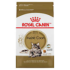 Royal Canin Feline Maine Coon Adult Dry Cat Food, Breed Nutrition