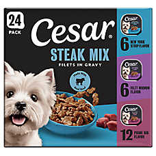 Cesar? Filets in Gravy Adult Wet Dog Food - Steak Mix Variety Pack, 24 Count