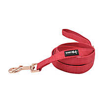 Sassy Woof Merlot Dog Leash: 5-ft long