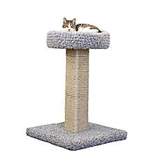 Prestige Solid Wood Cat Scratcher with Bed