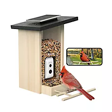 Birdfy Smart Feeder Ebony AI Camera Outdoor Bird Feeder