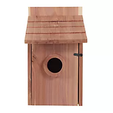 All Living Things® Cedar Wild Bird House for Outdoor Nesting