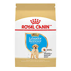 Royal Canin Breed Health Nutrition Labrador Retriever Puppy Dry Dog Food