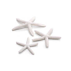 biOrb Starfish Aquarium Ornament - 3pk Aquarium Reef Decor