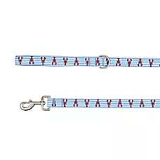 Top Paw庐 Lobster Dog Leash, Blue Dog Leash, Walking Dog Leash, 4' Long