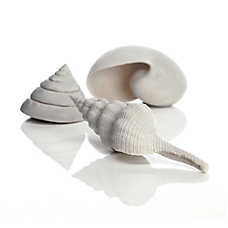 biOrb Sea Shell Aquarium Ornaments - 3pk Aquarium Reef Decor