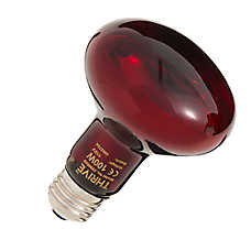 Thrive Nocturnal Infrared Spot Bulb - Infrared Heat Bulb - 50-150W