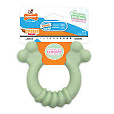 Nylabone? Sensory Puppy Teething Ring