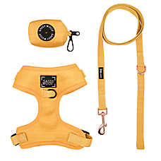 Sassy Woof Sunflower Dog Harness, Leash and Waste Bag Holder Bundle