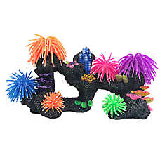 Top Fin? Coral Anemone Cave - Fish Tank Decor, Hideout - Medium