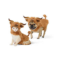 Thrills & Chills? Highland Cow Dog & Cat Costume