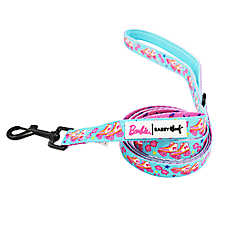 Sassy Woof Barbie On a Roll Dog Leash: 5-ft long