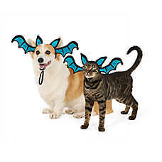Thrills & Chills? Bat Dog & Cat Headpiece