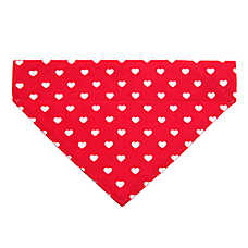 Made By Cleo? Love Song Cat Bandana