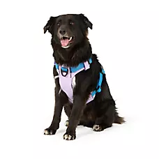 Arcadia Trail庐 Light Weight Dog Harness Reflective Material for Improved Low Light Visibility