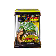 Zoo Med Creatures? Creature Habitat Kit Reptile Terrarium - Reptile Starter Kit - 3 Gallon -8.5x8x11