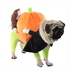 Pet Life Halloween Pumpkin Mon Dog & Cat Costume