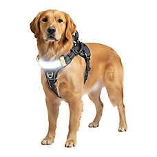 Lumi Pawtners - Lumi One LED Dog Harness