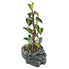 Thrive? Tropical Water Dripping Tree - Reptile Humidity Control