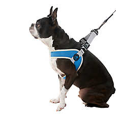Gooby Simple Step In Dog Harness III