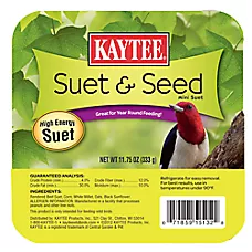 KAYTEE® Suet & Seed Wild Bird Suet Cake for Outdoor Feeders