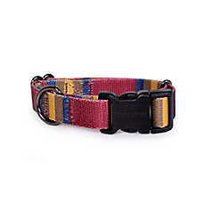Pendleton Zion National Park Adventure Dog Collar