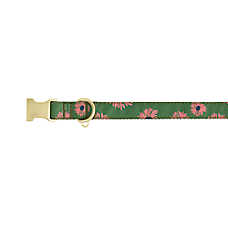 Top Paw? Floral Dog Collar, Adjustable, Comfort, Multiple Sizes, Pink/Green