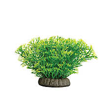 GloFish? Java Moss Plant Colorful Fish Tank Plant Decor