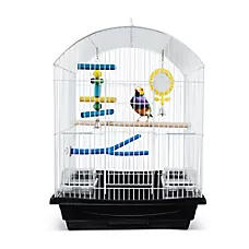 All Living Things® All-In-One Pet Bird Cage - Starter Kit for Small Birds