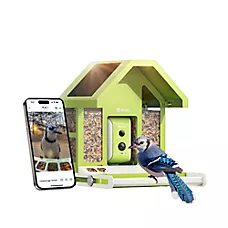 Birdfy Smart Metal Feeder AI Camera Outdoor Bird Feeder